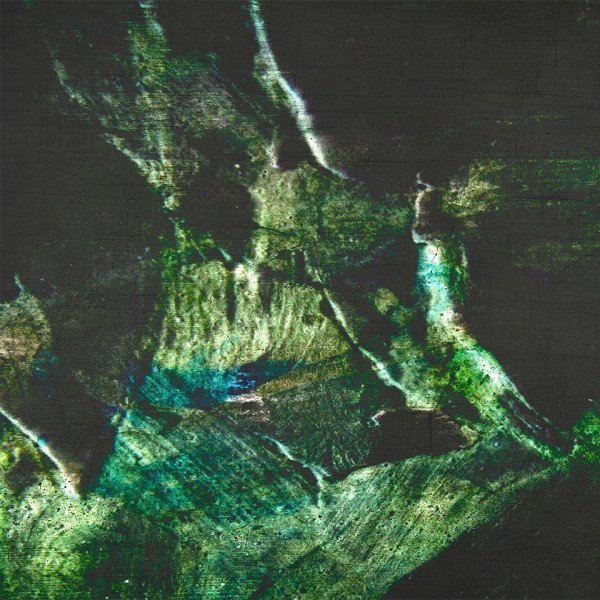 carta-da-parati-tree-roots