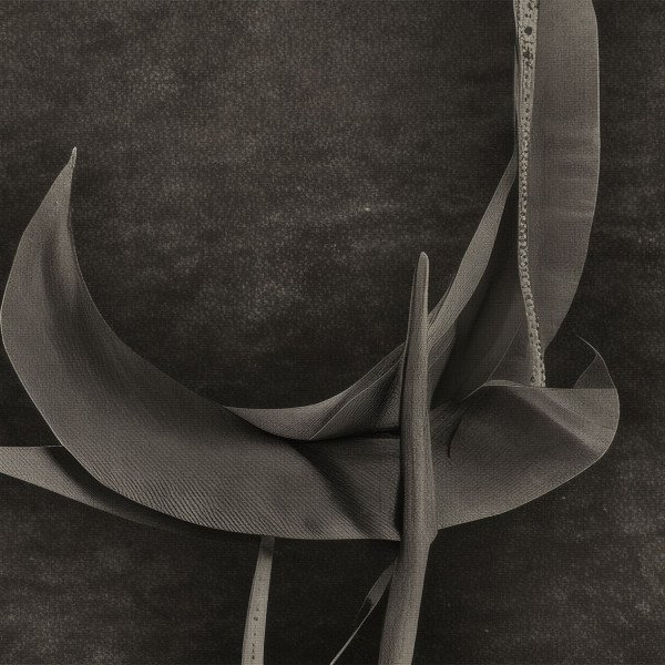 WARN