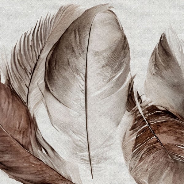 FEATHERS
