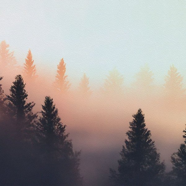 PINES